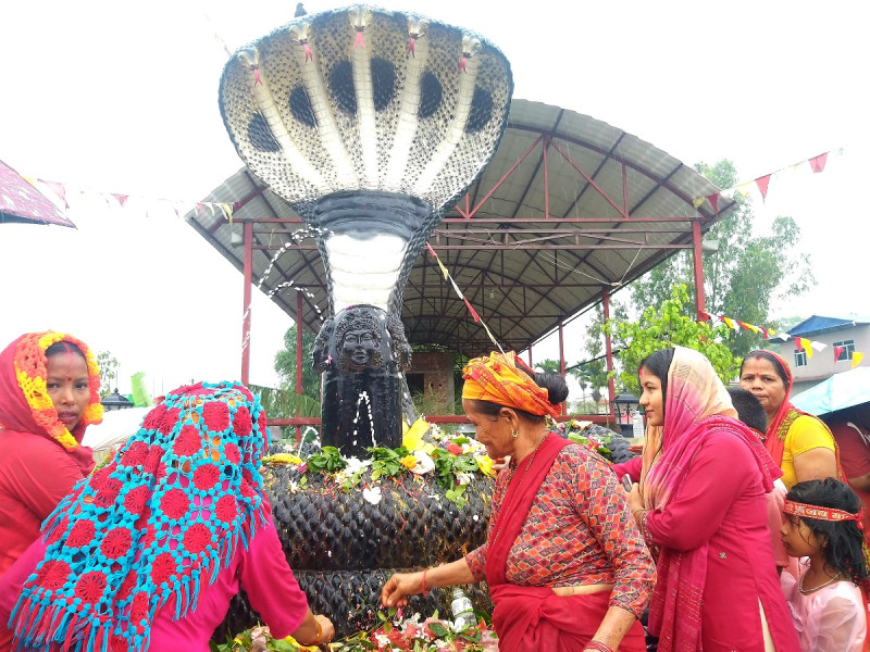 नागपूजा गर्न लामबद्ध भक्तजन [तस्बिरहरु]